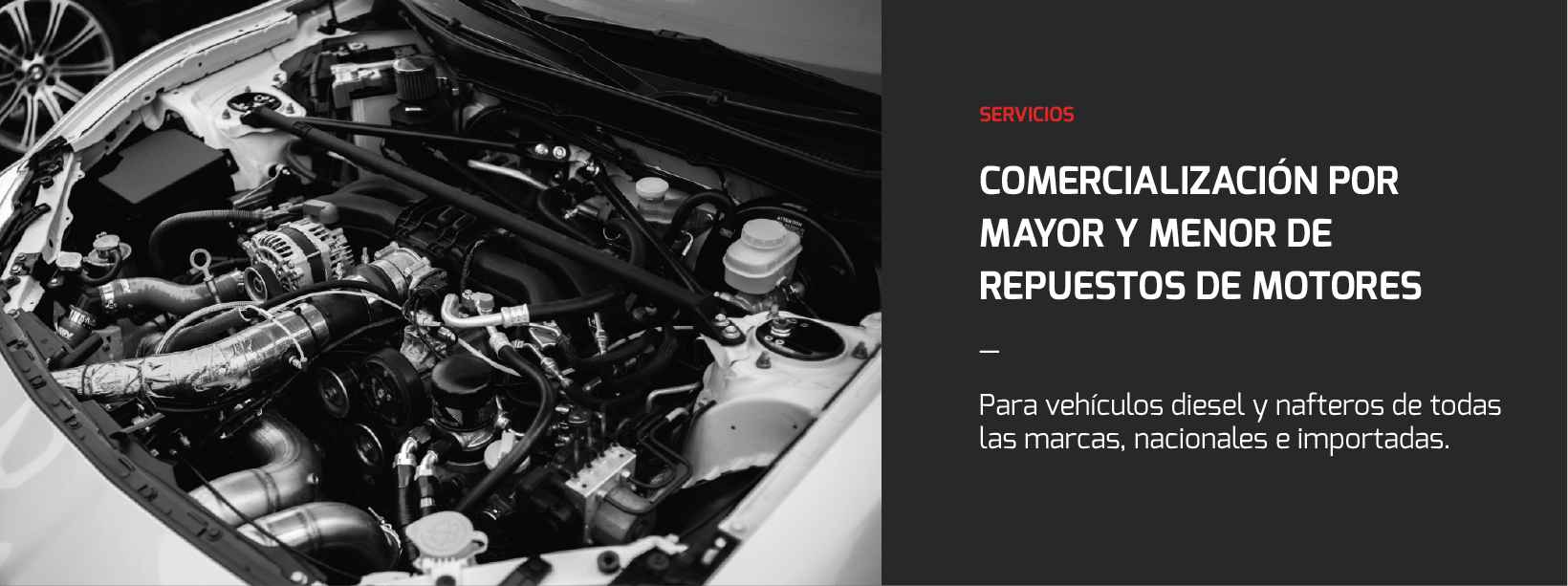 Servicios-01-web