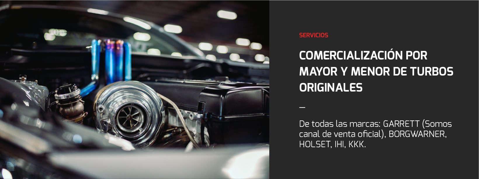 Servicios-02-web