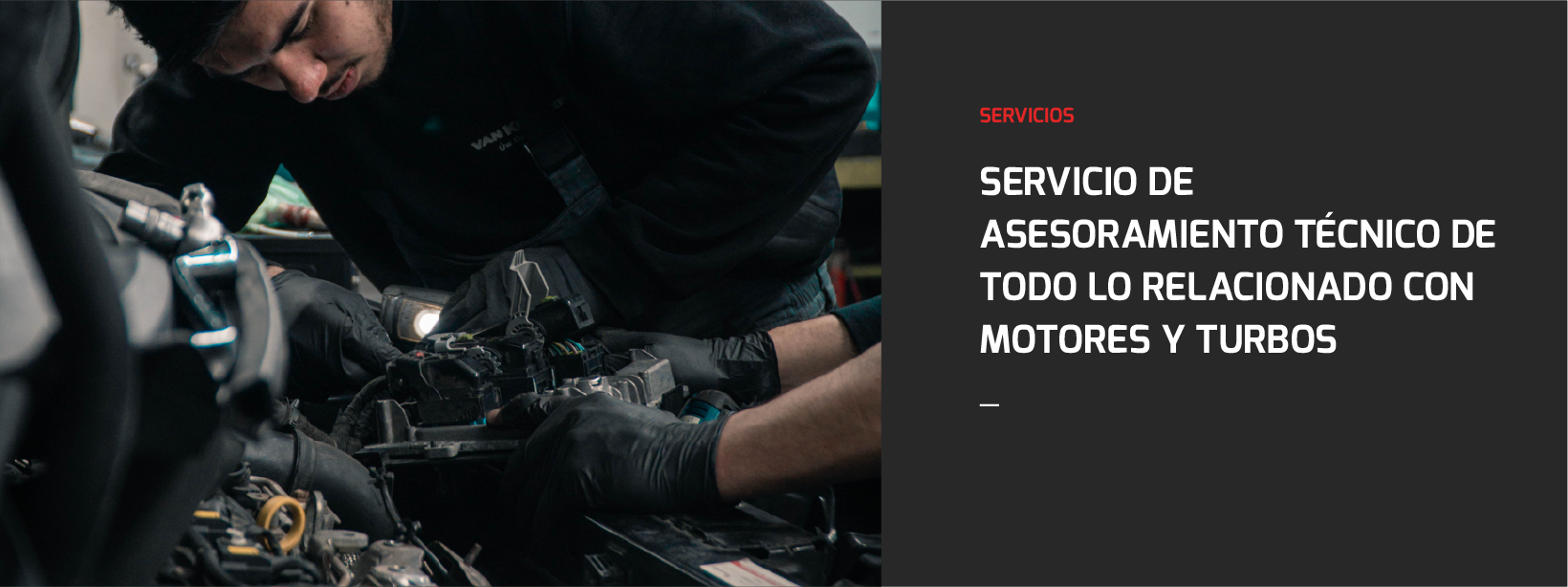 Servicios-04-web