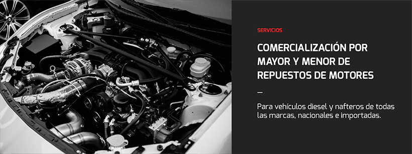 Servicios-01